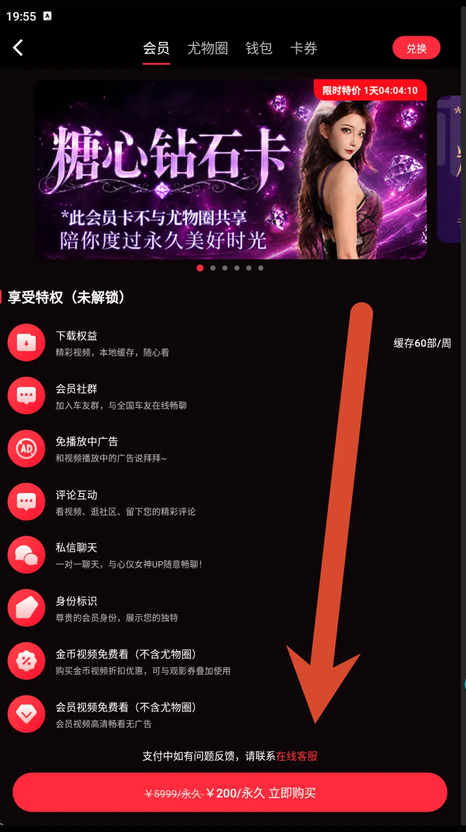 7. 钻石卡：截图价200元永久界面截图或安全提示图